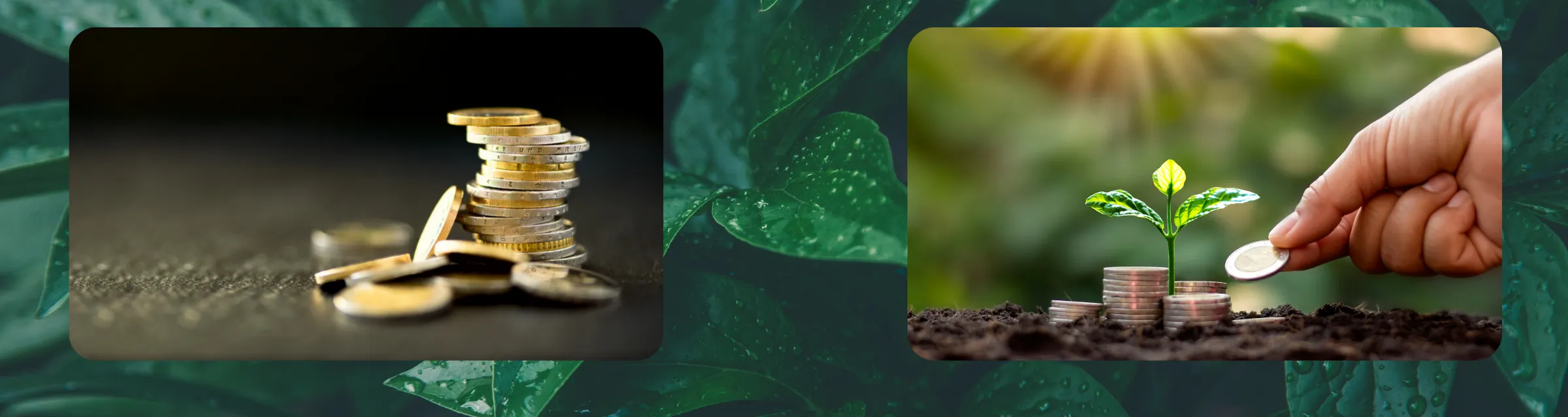 The emerging trend in Business