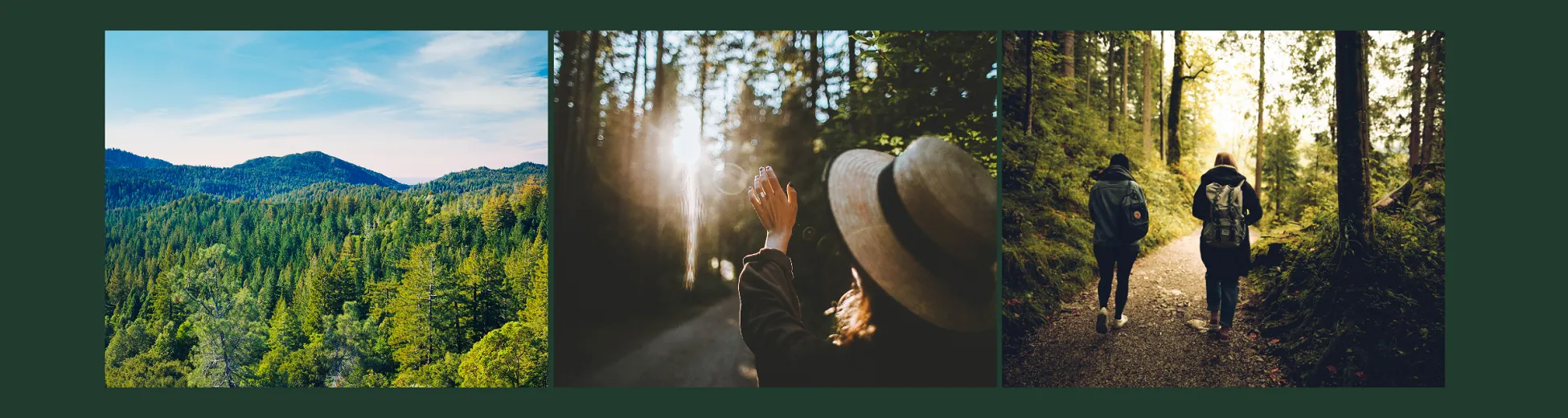 Wherefore sustainability: Nature’s torch