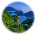 Wherefore sustainability: Nature’s torch > Content Section Type