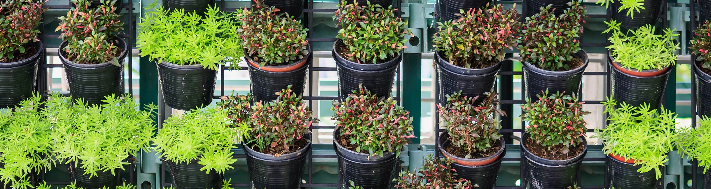 A Sustainable Movable Vertical Garden