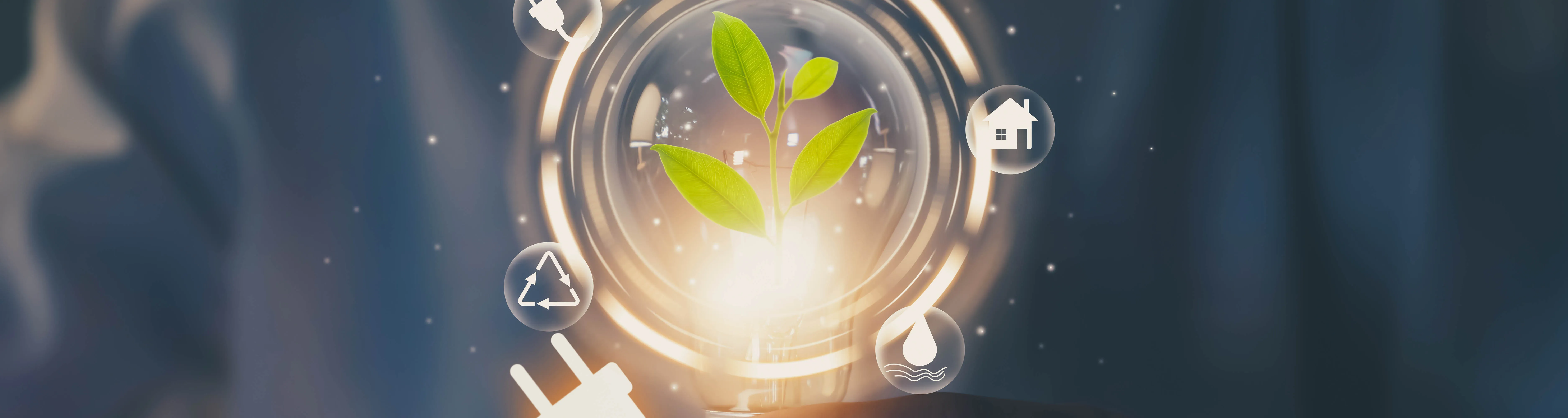 Smart Mini-grid of 100% Renewable Energy