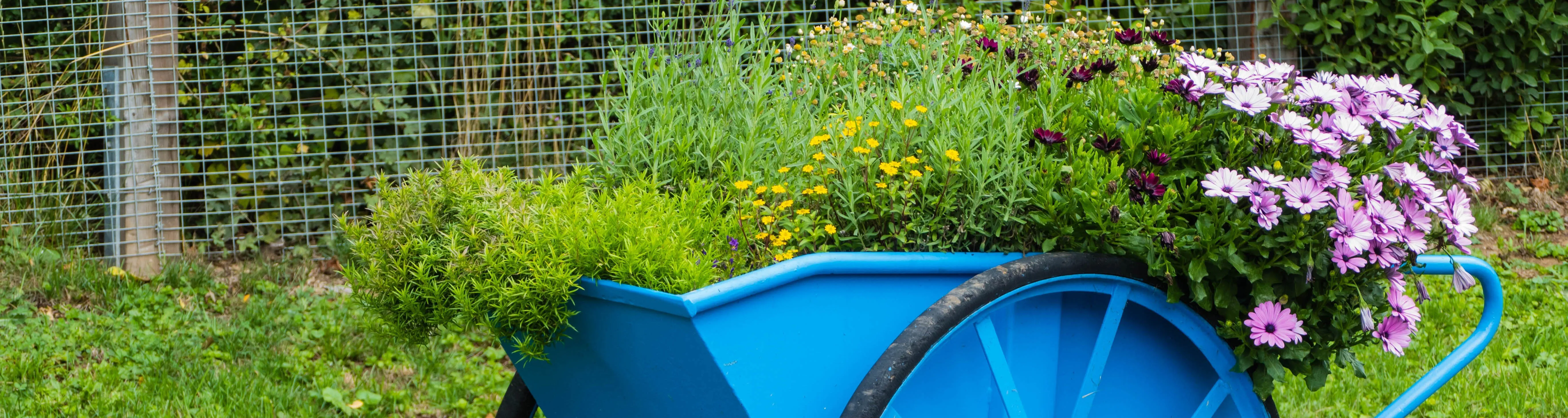 Upcycling Yard and Food Wastes into New Resources: Hydrochar for Supporting HKUST Greening