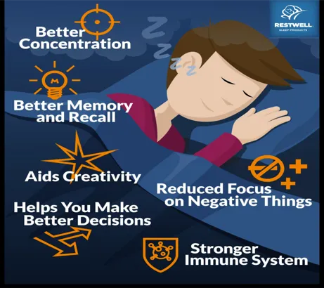 Staying Smart by Taking a Nap