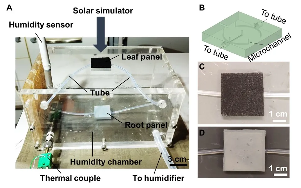 Tree-inspired, solar-driven transpiration system for sustainable humidity control of buildings