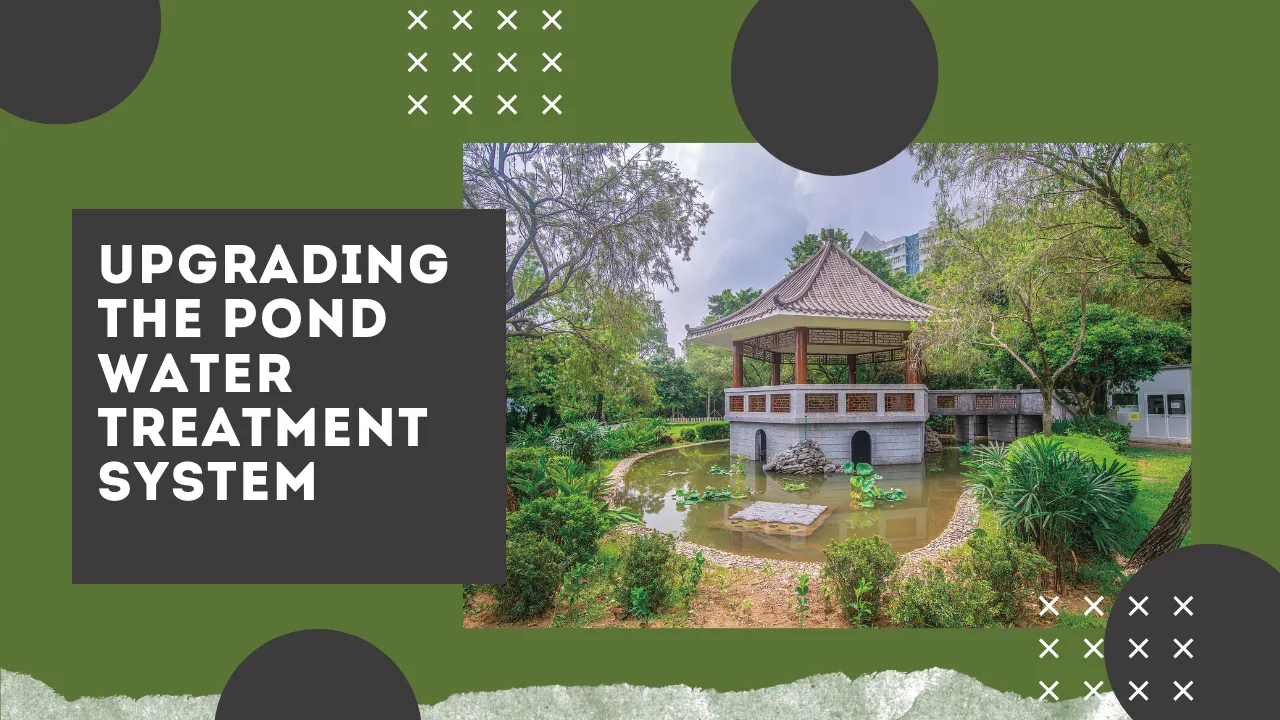 Upgrading the Pond Water Treatment System